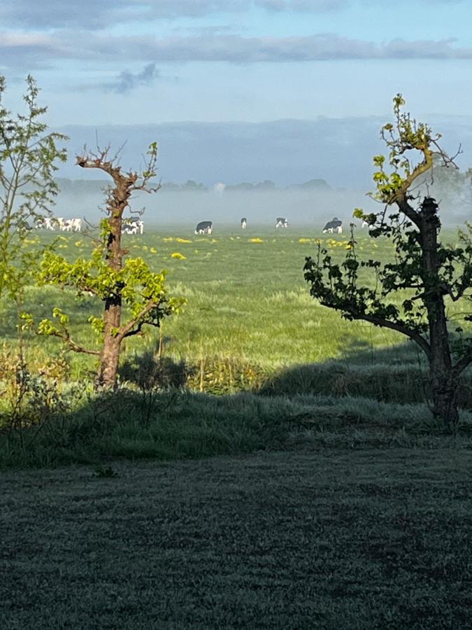 Vinkelaar 11 Villa Terschuur Bagian luar foto