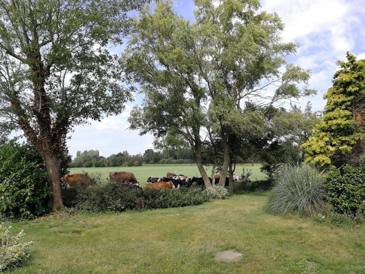 Vinkelaar 11 Villa Terschuur Bagian luar foto