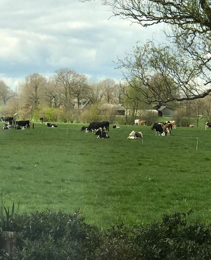 Vinkelaar 11 Villa Terschuur Bagian luar foto